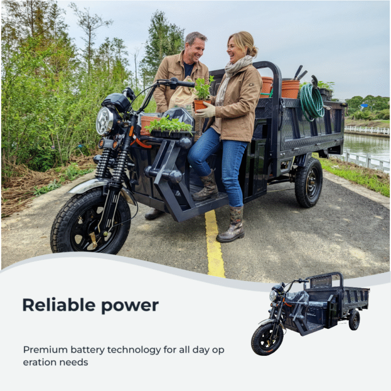 electric cargo tricycle motor maintenance